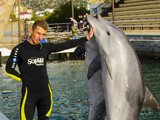 Анапский дельфинарий на Большом Утрише